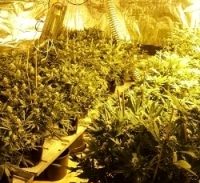 "אמרתי אני אעשה מכה אחת ואתחיל חיים חדשים"