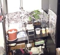 מעבדת הידרו בארון הבגדים