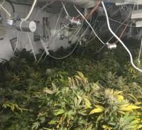 מעבדת ההידרו והמקסיקני הנעלם