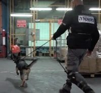 ידידו הטוב של השוטר