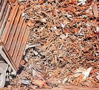 ארבע שנות מאסר נגזרו על היצואן המצטיין