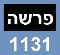 1131: שוורצמן הפליל עבריין מלוד על דקירה בכלא לפני שלוש שנים