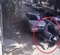 מי אכל את הכובע?