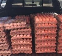 4 שנות מאסר לרכז מודיעין במועצת הלול שקיבל שוחד