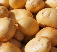 אישום: הסוחר בשוק רצח את "החשוד בגניבת תפוחי אדמה"