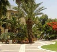 רכזת כוח אדם בסמינר הקיבוצים חשודה בגניבת חצי מיליון שקל