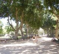 ניצל קטינות לזנות ונידון ל-11 חודשי מאסר