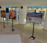 לא על המשפט לבדו