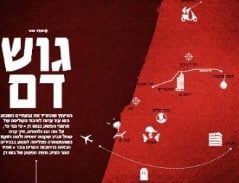 ארגוני איילון