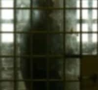 תלונות על שירות המבחן שפועל בשירות חקירות המשטרה