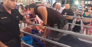 לשחרר את וילי, גרסת עכו