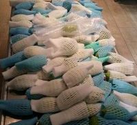 כוננות אתרוגים בנתב"ג