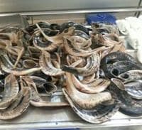 חג שמח ממכס נתב"ג