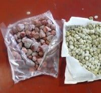 החשד: הברחת תותים במכס