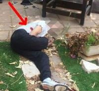 הם יורים כדי להרוג?