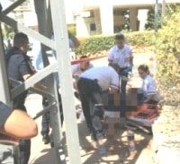 כיפה אדומה בהרצליה