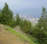 כיפה אדומה ביער שוויץ ועבודות שירות בבית המשפט