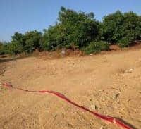 תקלה מבצעית? חמישה עבריינים מארגון לביא עצורים על החיסול ברחובות