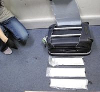 עלילות בלדרי הקוקאין הברזילאים בארץ הקודש