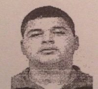 עג'מי גרסת אלקוץ