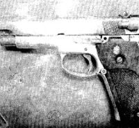 תיק האקדח ביער: שנה מאסר לשמוליק הרוש