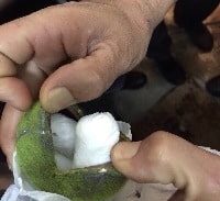 הכל זה מלמעלה