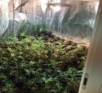 עוד יום עבודה במשטרת רחובות