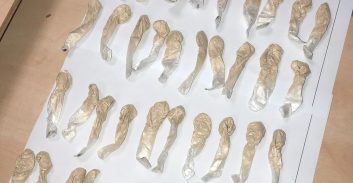 ת"א: תושב ירושלים נעצר עם 40 מנות הרואין