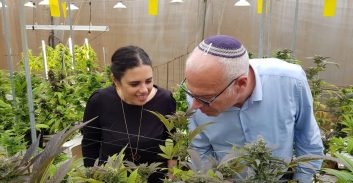 שקד בחוות קנאביס רפואי: "דיון בממשלה על ייצוא מישראל בעוד 10 ימים"