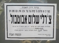 abutbul charli halvaya