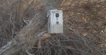 חממת מריחואנה מרושתת במצלמות נחשפה סמוך לאופקים