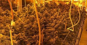 131 ק"ג מריחואנה נתפסו בדירה בדרום ת"א