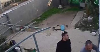 כלבים מצלמות, בלשים וחותמות גומי