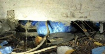 בכיר בארגון חרירי נעצר על עבירת אמל"ח בעפולה