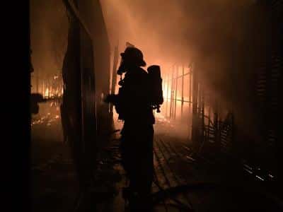 ahuzat alexandra srefa