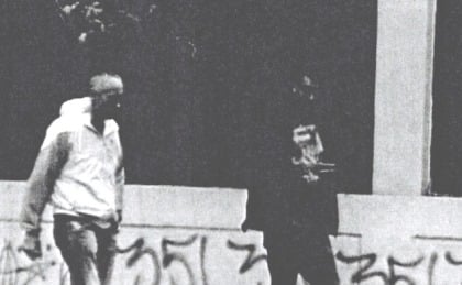 alchik  shetz 420-260