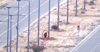 אישום: גרמו נזק של 100 אלף שקלים לתשתיות באשקלון