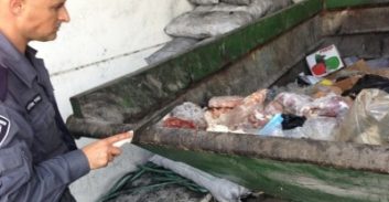 בתי המשפט אומרים לא למדיניות החיכוך של דנינו?