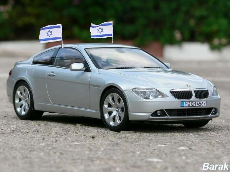 atzmaut Barak Ben Zvi