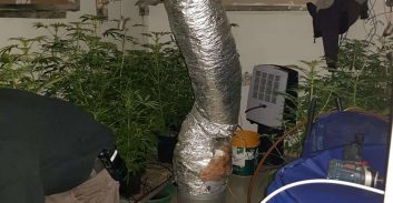 שלושה נאשמים בגידול מריחואנה במעבדות הידרו בחיפה ובבית שאן