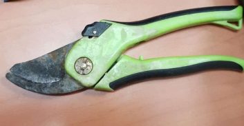 חשד: פורץ פלסטיני במעלה אדומים כפת צעירה וביצע בה מעשה מגונה