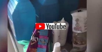 כתב אישום נגד חמישה ישראלים וקולומביאנית בתיק מעבדת הקוקאין בירושלים