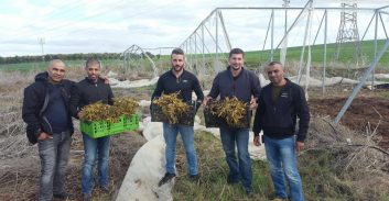 תוך שבועיים נעצר פעמיים בחשד לגידול קנאביס