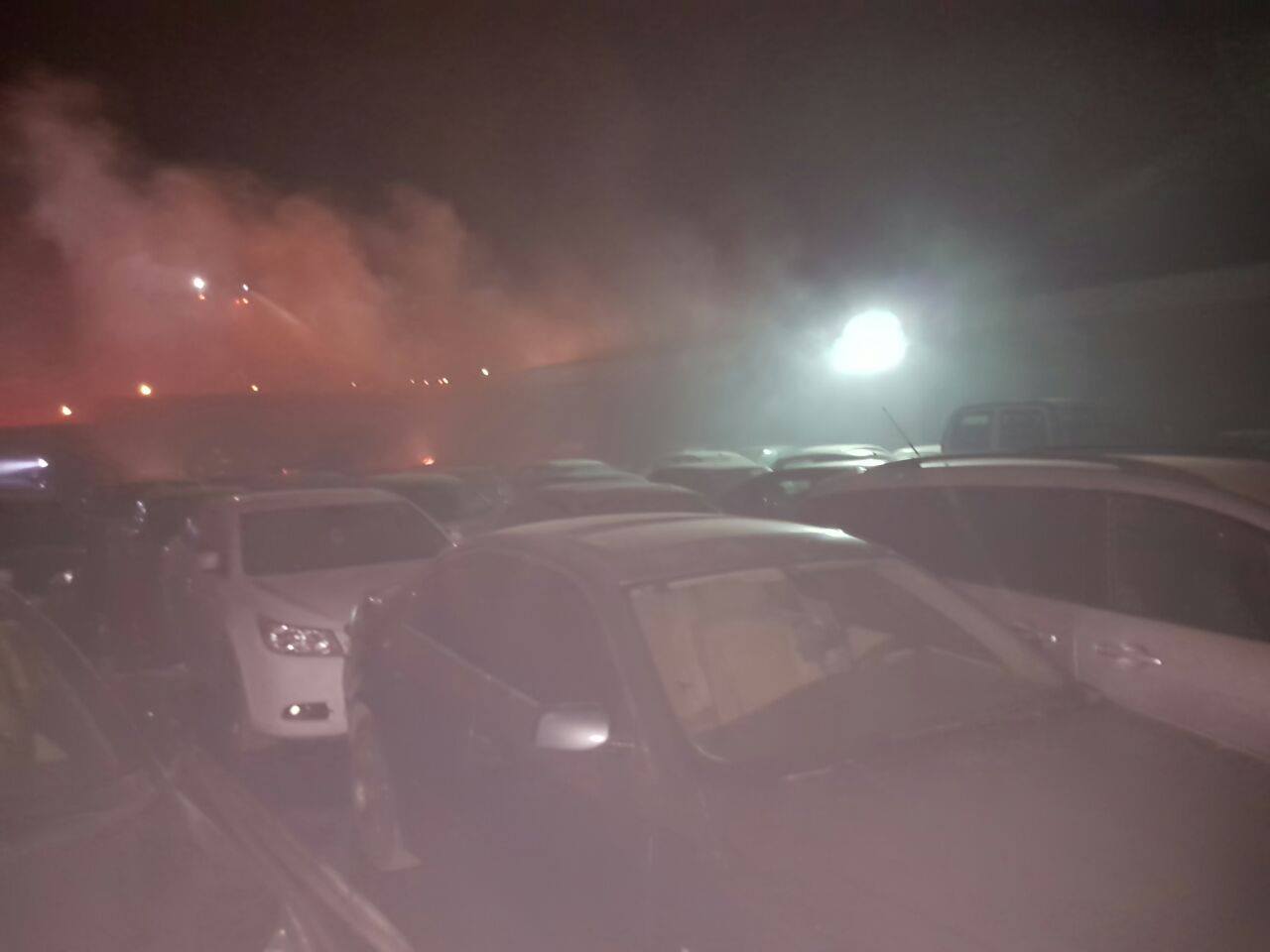 bear1 sheva fire 25 1 17