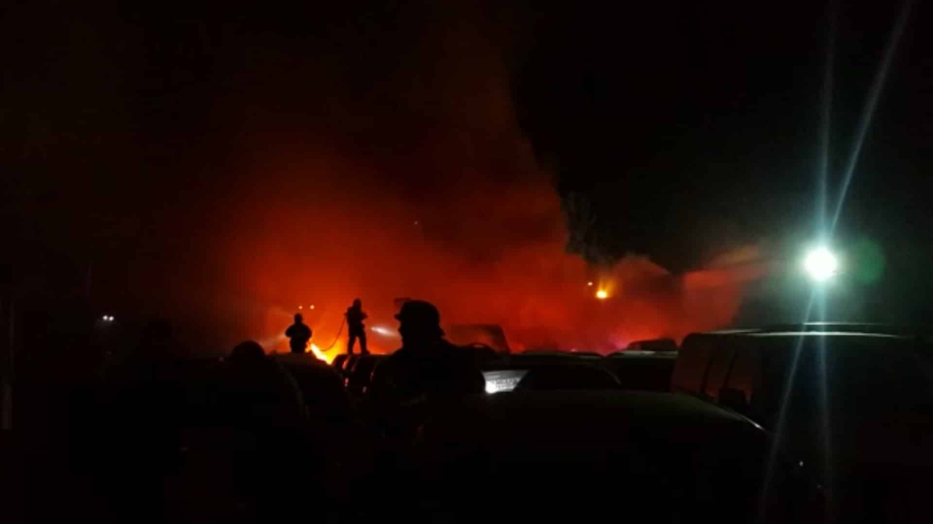 bear2 sheva fire 25 1 17