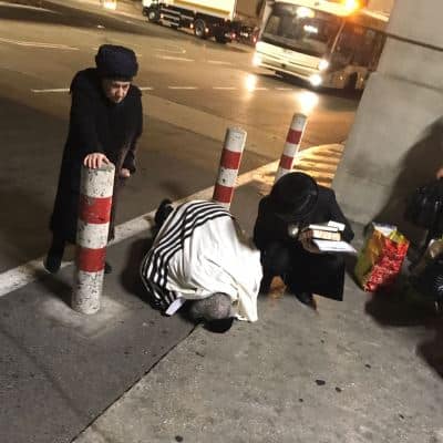 berland uman 400 400