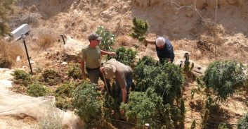 חממות קנאביס בדרום אותרו בעזרת רחפן