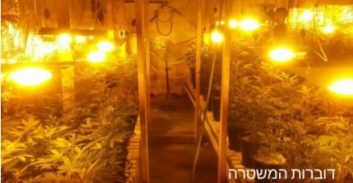 חמישה נאשמים בגידול 165 ק"ג קנאביס בטירה