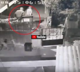 רצח עדיאל תורתי סרטון