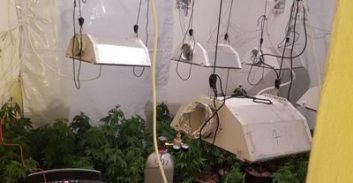 כפר חסידים: מעבדת הידרו עם 147 שתילים